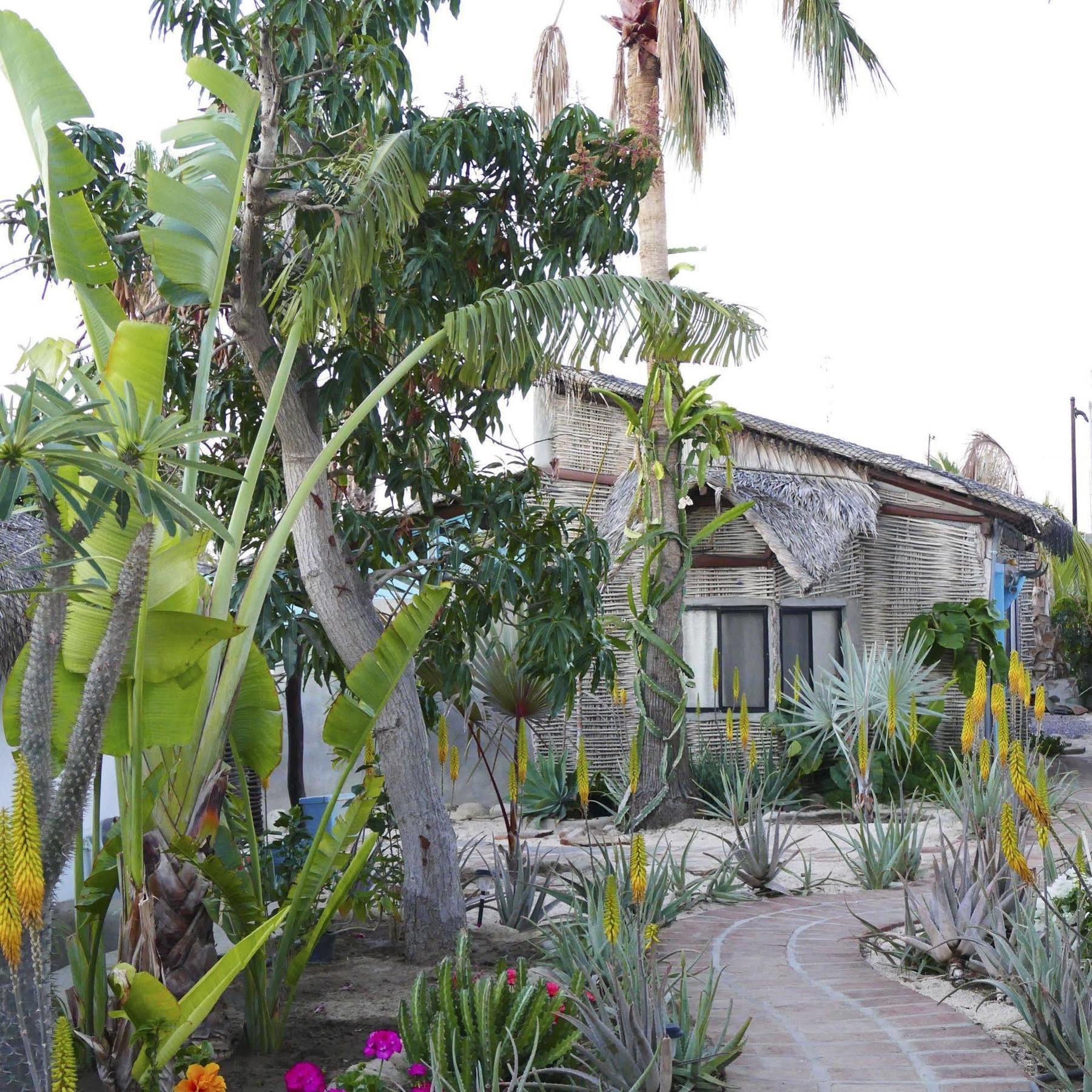 La Bohemia Hotel Todos Santos Ngoại thất bức ảnh