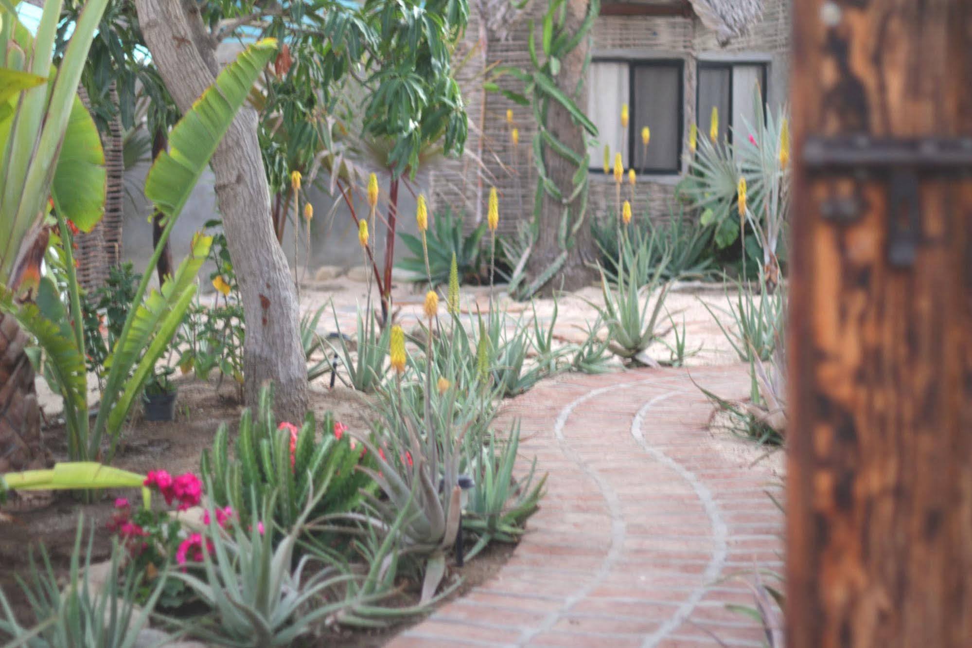 La Bohemia Hotel Todos Santos Ngoại thất bức ảnh
